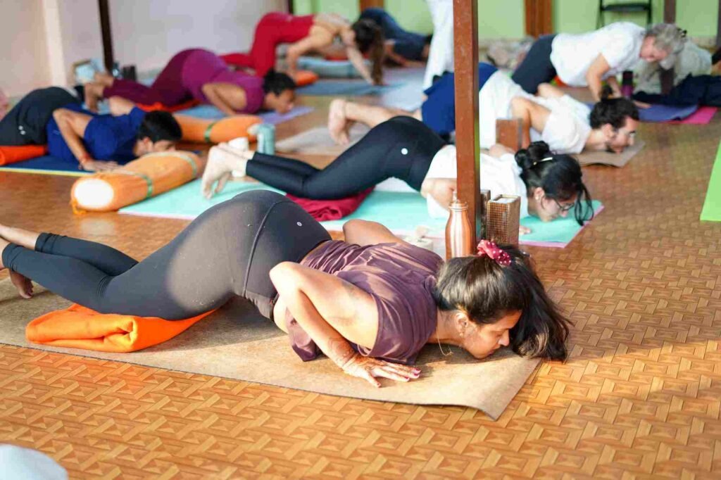 Soulful Ascent: Elevate Your Teaching in Rishikesh with Our 300-Hour Yoga TTC