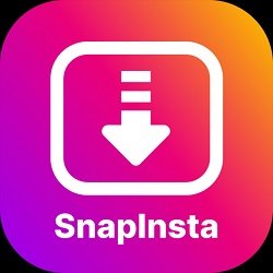 How Easy To Use SnapInsta?