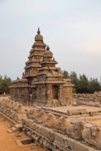 Tours and travels in Chennai